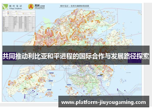 共同推动利比亚和平进程的国际合作与发展路径探索