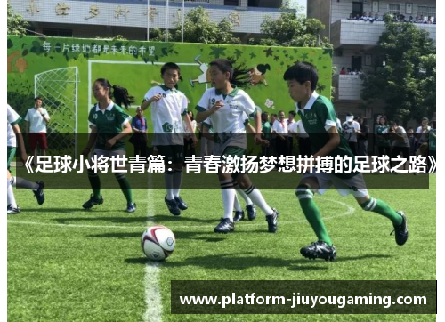 《足球小将世青篇：青春激扬梦想拼搏的足球之路》
